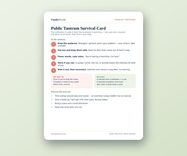 Public Tantrum Survival Card preview